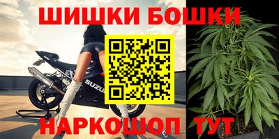 МДПВ Сланцы