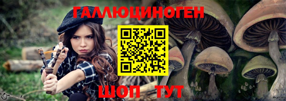 Псилоцибиновые грибы мицелий Новозыбков