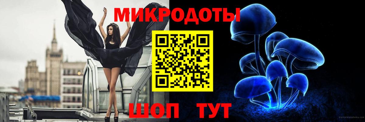 Новозыбков  Псилоцибиновые грибы мухоморы  Вход с VPN  Псилоцибиновые грибы Cubensis 