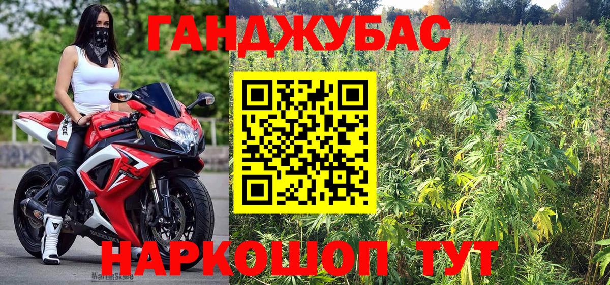 Новозыбков  Бошки марихуана план  Вход с VPN  Каннабис марихуана  Бошки Шишки индика  Каннабис сатива 